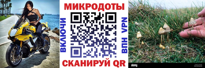hydra ссылка  где купить наркотик  Невьянск  Псилоцибиновые грибы Magic Shrooms 